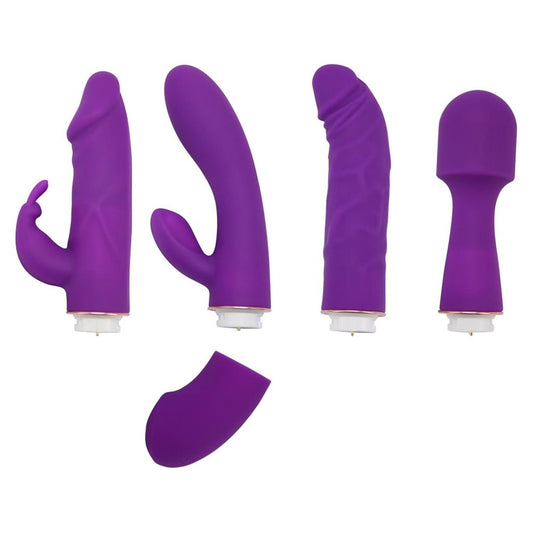 Private Collection Kit with 4 Vibrators